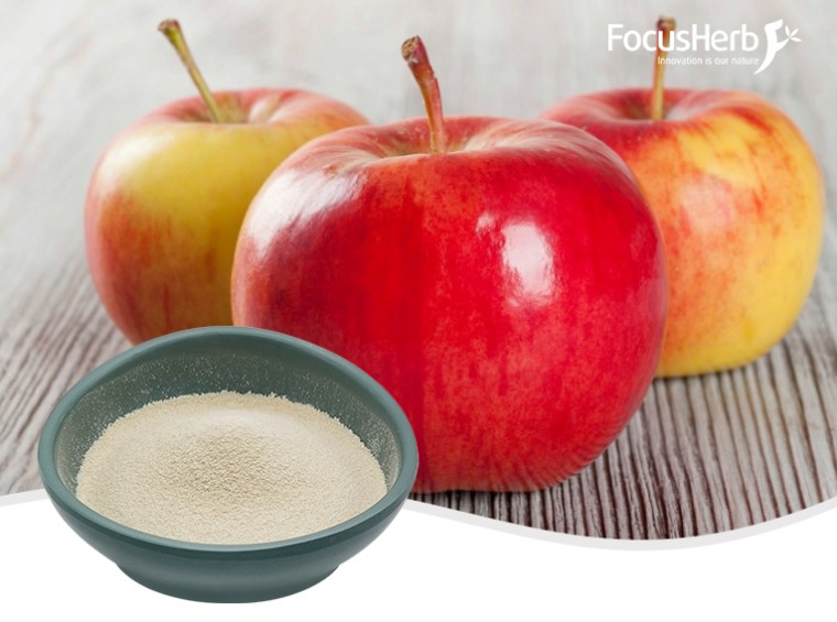Food and Nutrition Ingredients apple pectin