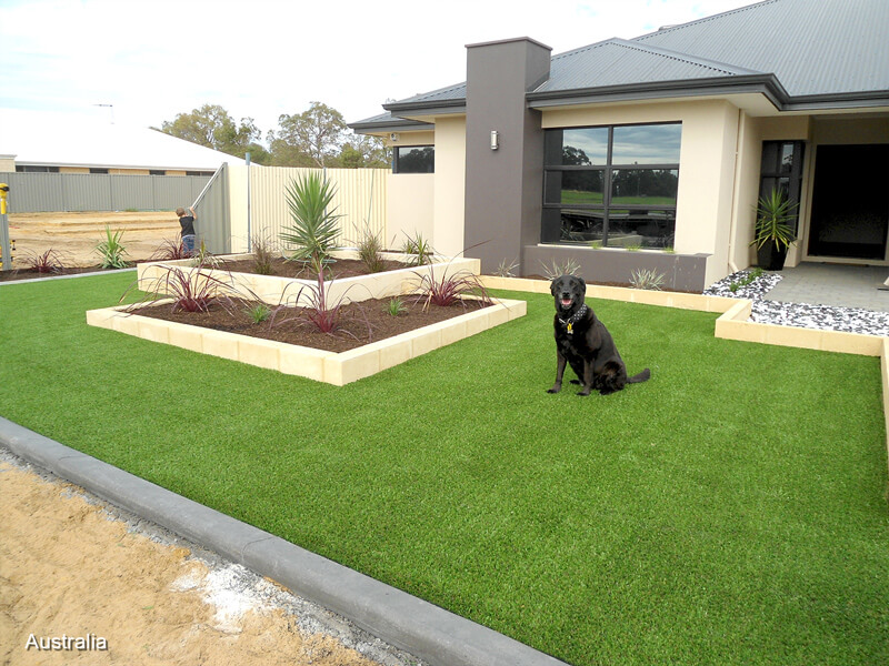 artificial-grass-for-pets-in-garden